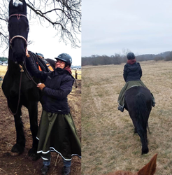 Spódnica jeździecka Złoty Koń zielona