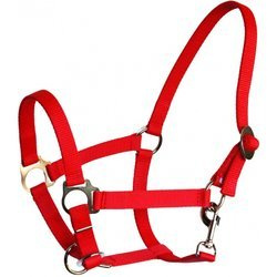 Kantar dla zimnokrwistych czerwony