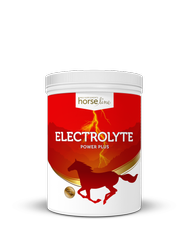 Electrolyte PowerPlus 1500g