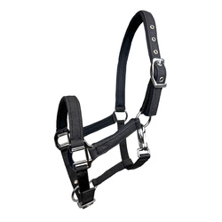 Kantar źrebięcy Aston czarny