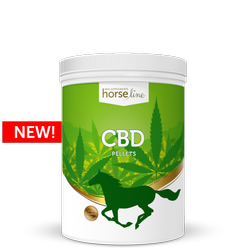 CBD dla koni