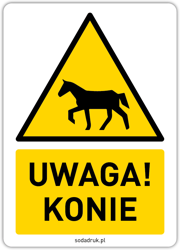 Naklejka UWAGA! KONIE