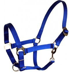 Kantar dla zimnokrwistych niebieski