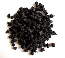 Aronia dla koni