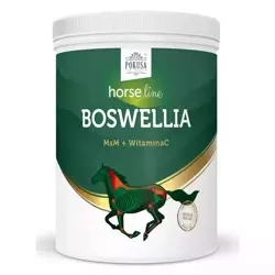 BoswelliaSerrata 900g