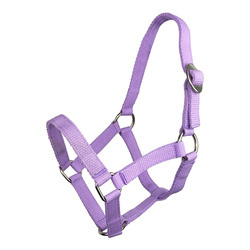 Kantar York shetty fioletowy