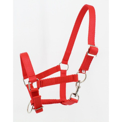 Kantar dla MINI źrebaka czerwony