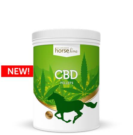 CBD dla koni