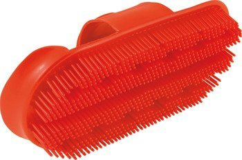Szczotka iglak czerwona