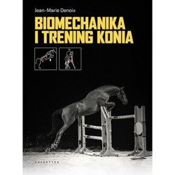 Biomechanika i trening konia