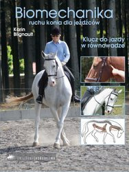 Biomechanika ruchu konia dla jeźdźców. Klucz do jazdy w równowadze