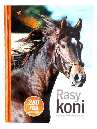 Rasy koni