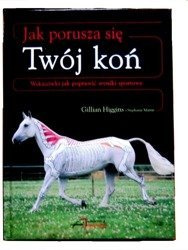 Jak porusza się Twój koń. Gillian Higgins