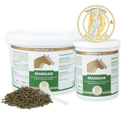 Equipur Mangan 800g