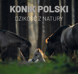 Konik polski - dzikość z natury