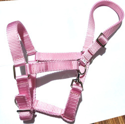 Kantar źrebak Mustang różowy