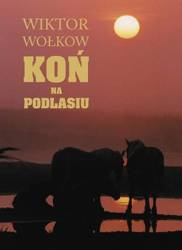 Koń na Podlasiu. Wiktor Wołkow